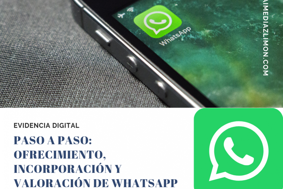 Abogado Digital Whatsapp Proceso Judicial